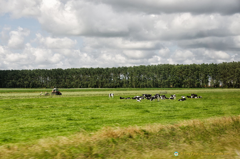 dutch_countryside_AJP1361.jpg